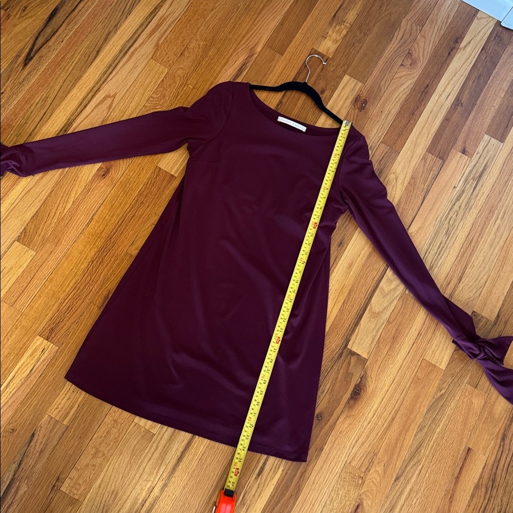 Susana Monaco Deep Burgundy Long Sleeve Dress with ties at cuff large - Picture 8 of 13